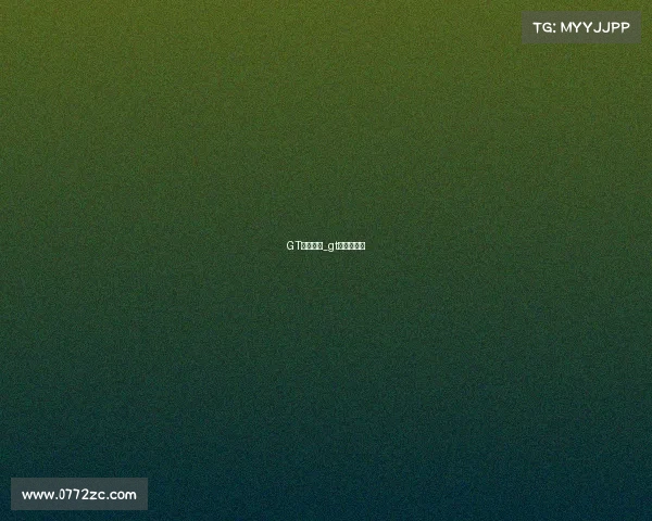 GT赛事规则_gt赛车锦标赛